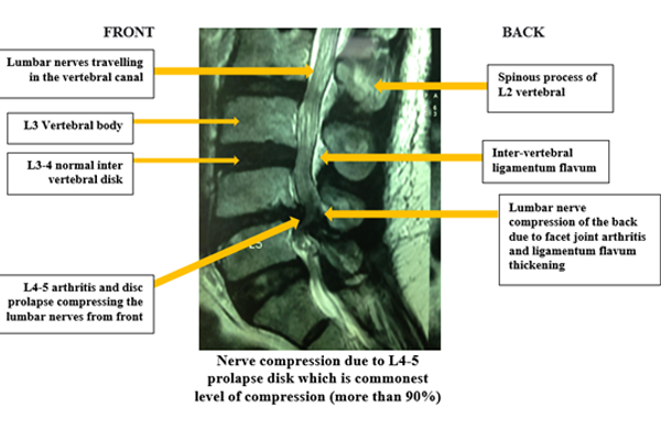 Orthopaedic Surgery